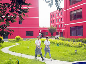 ������ѧ��ʦ