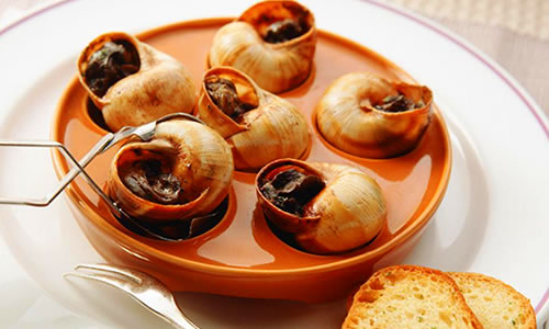 �����¶�������ѧУ ѧ����ȥ�ĺ�