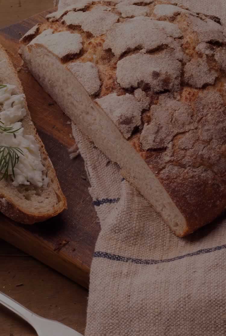 �����¶�������ѧУ ������ѵ