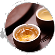 �����в�����ѵ